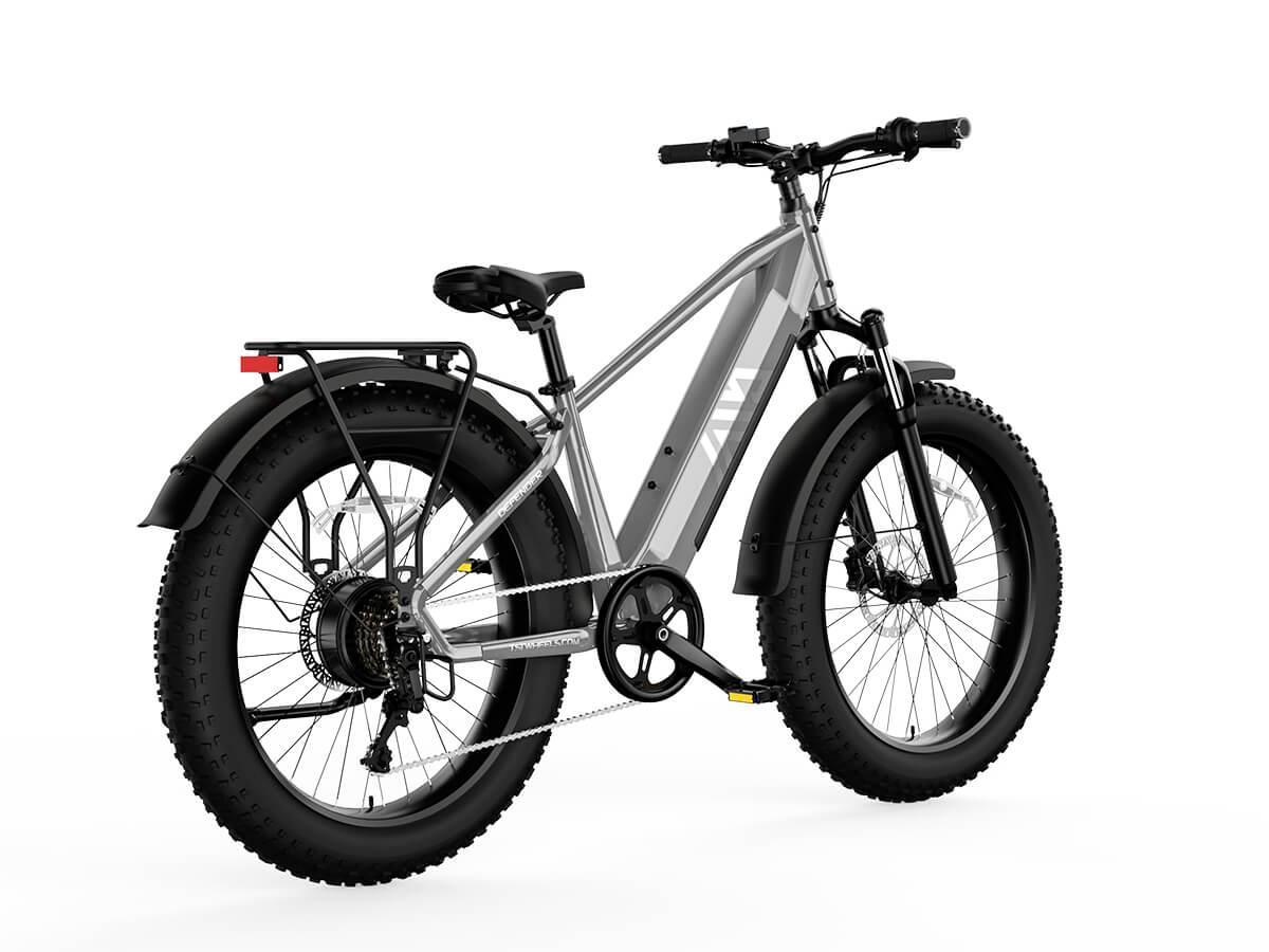 TST® Combo Sale Defender 26" Fat Tire Ebike For Adult