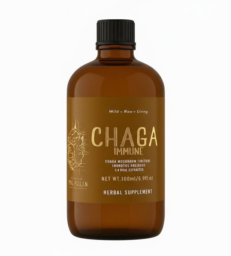 Chaga Mushroom Dual Extract|
Wild Chaga Tincture (250mg/ml)