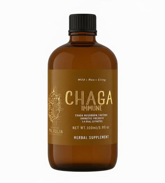 Chaga Mushroom Dual Extract|
Wild Chaga Tincture (250mg/ml)