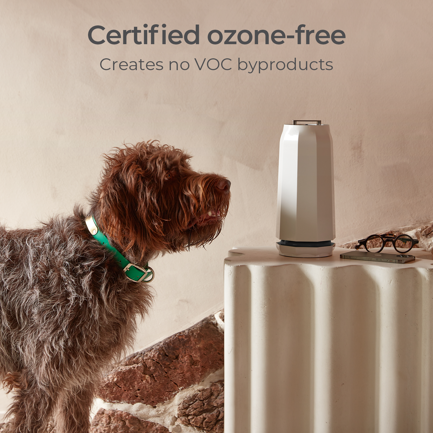 Refurbished Photon Air & Surface Purifier