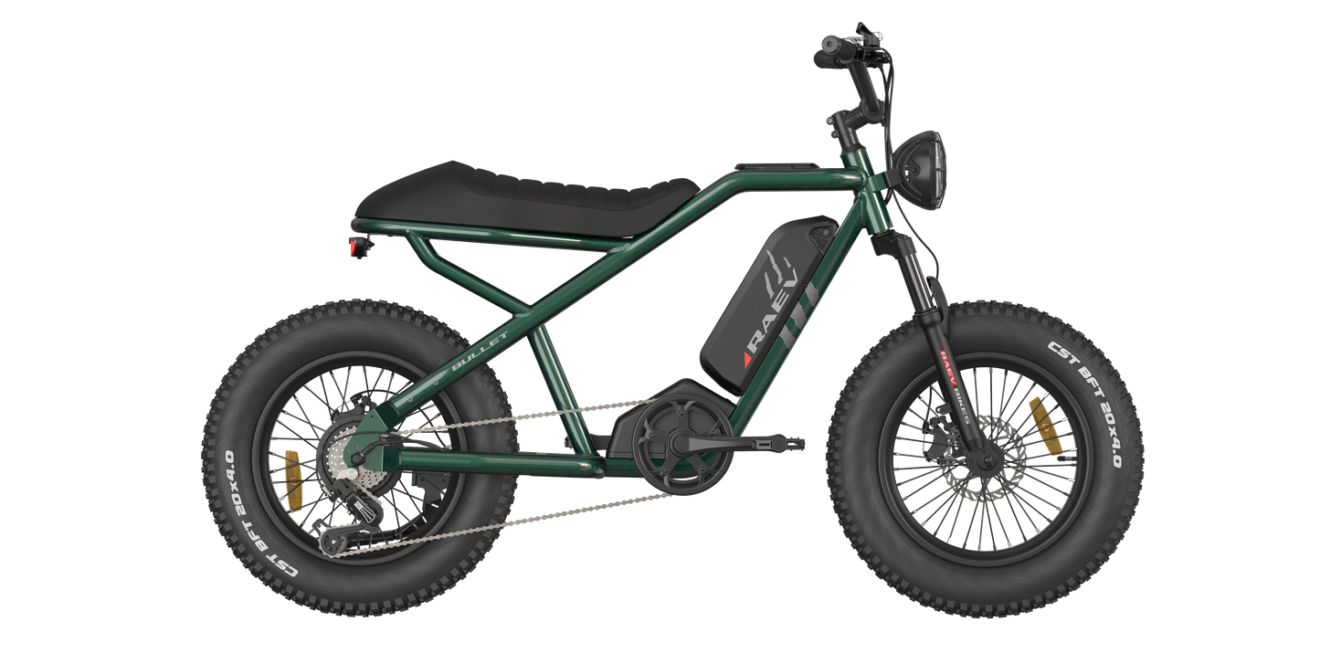 RAEV Bullet V2 Electric e-Moto Style eBike-Moto 500 w Electric Pit Bike