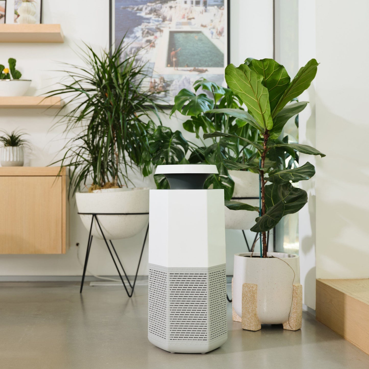 Core Air & Surface Purifier + HEPA