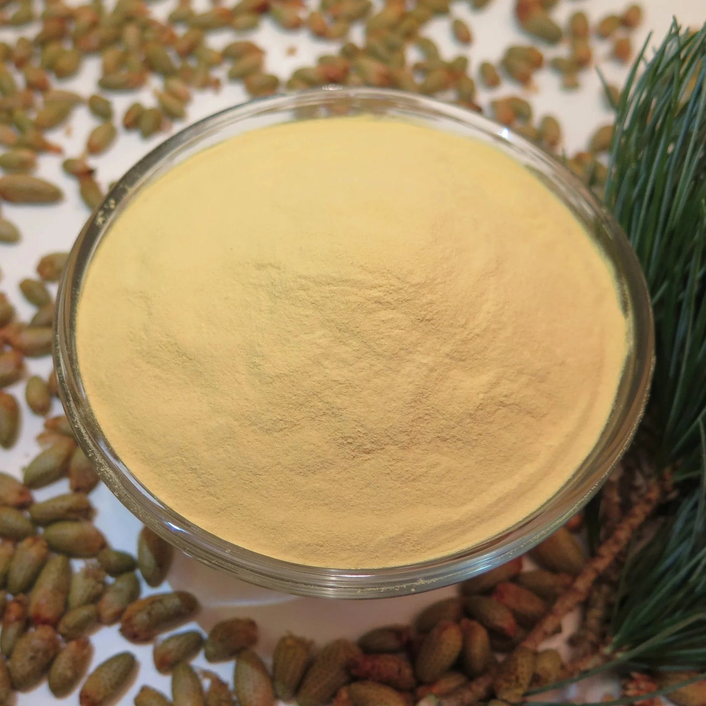 Wild Organic Pine Pollen Duo Pack 100g (3.6oz) = 70g Lodgepole + 30g Ponderosa