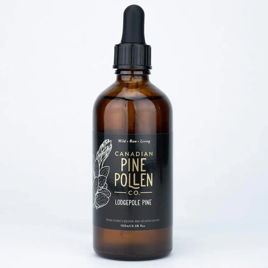 Lodgepole Pine Pollen Tincture - Certified Organic (100mL-3.4 fl oz)