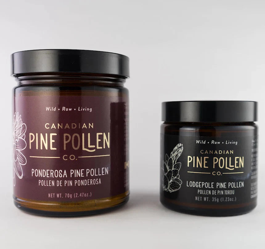 Wild Organic Pine Pollen Duo Pack 100g (3.6oz) = 70g Ponderosa + 30g Lodgepole