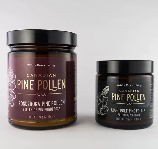 Wild Organic Pine Pollen Duo Pack 100g (3.6oz) = 70g Ponderosa + 30g Lodgepole