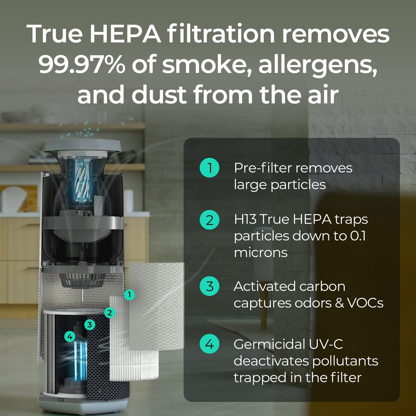 Core Air & Surface Purifier + HEPA