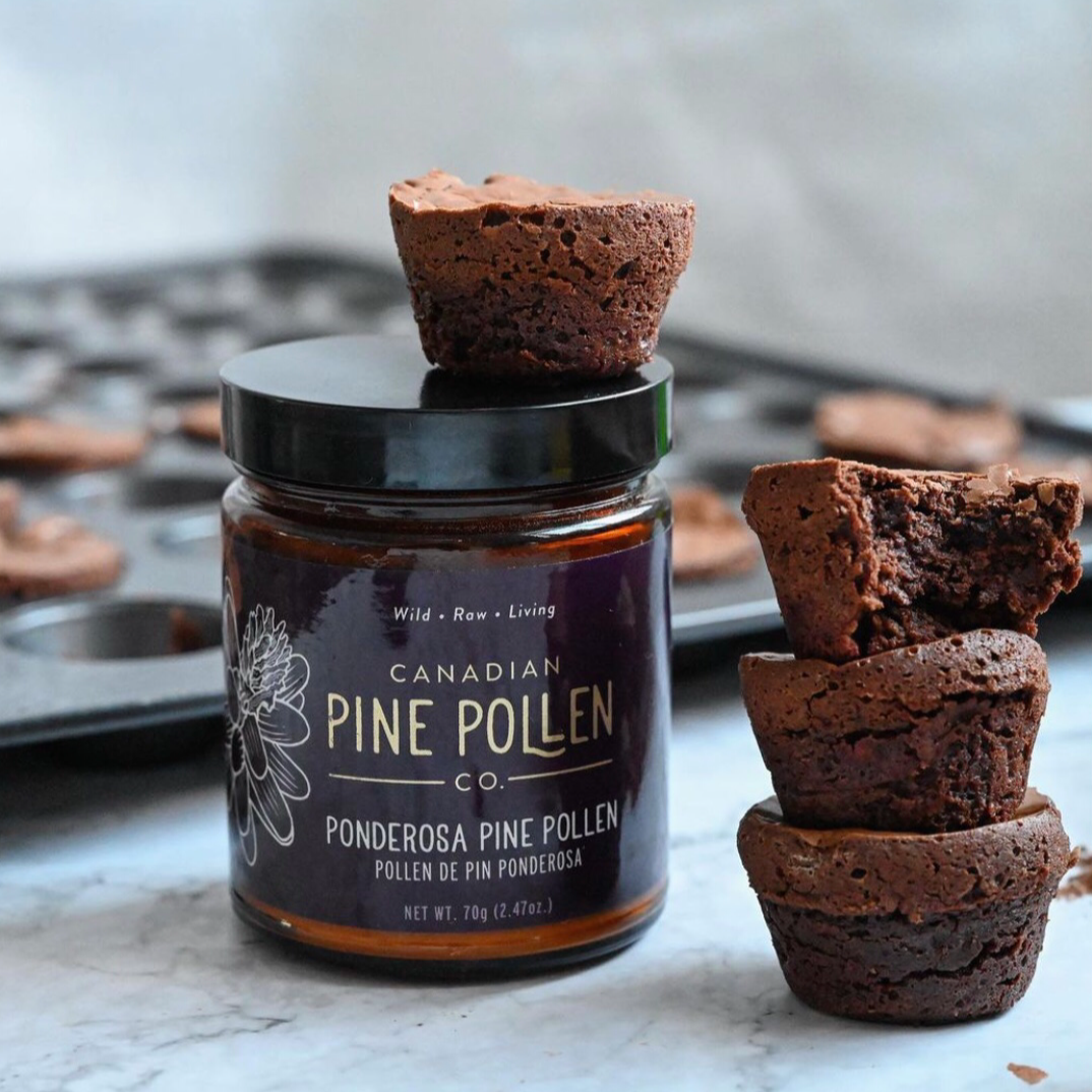Wild Organic Pine Pollen Duo Pack 100g (3.6oz) = 70g Lodgepole + 30g Ponderosa