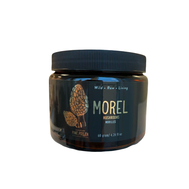 Baby Morel Mushrooms - Premium Petite A Grade -(60gram/2.2oz)