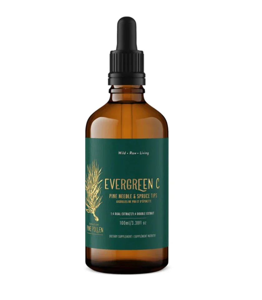 Pine Needle and Spruce Tip Tincture- Evergreen C- 1:6 (100ml/3.4 fl.oz)