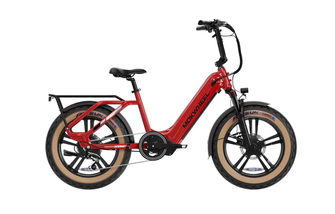 MOKWHEEL Scoria 750 w Step Thru Ebike 20x4 Fat Tire Electric Cargo eBike