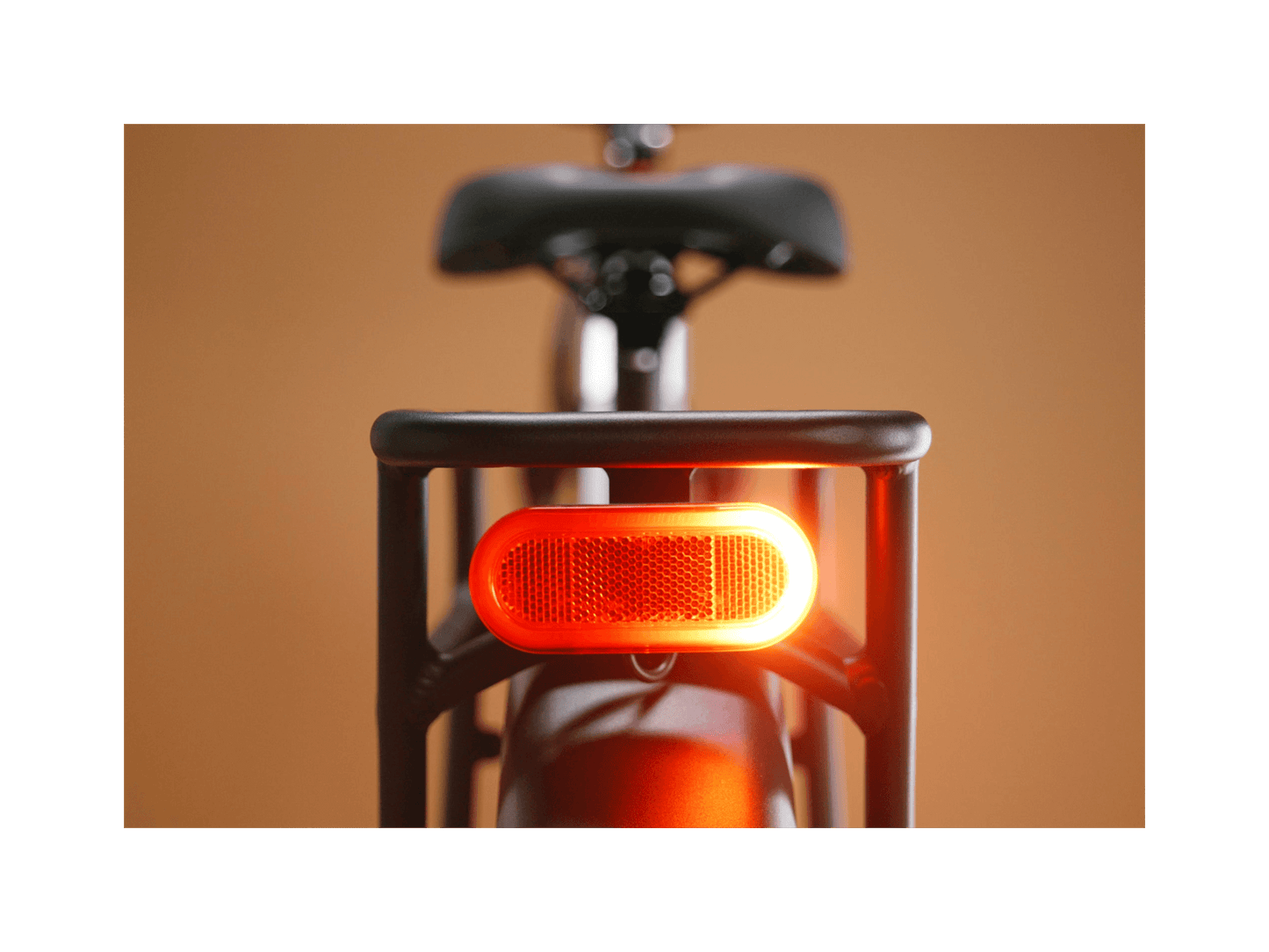 Radster™ Trail Electric Off-Road Bike