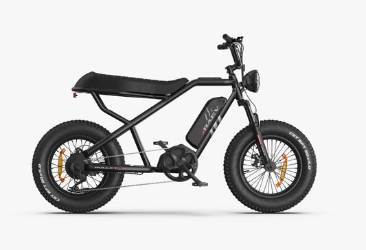 RAEV Bullet X Emoto eBike – 750W Electric Bike