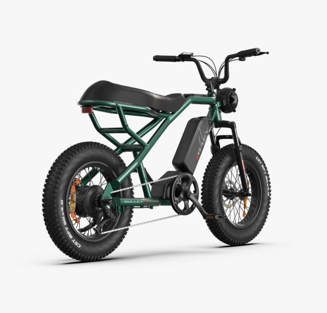 RAEV Bullet X Emoto eBike – 750W Electric Bike