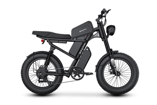 RIDING TIMES Z8 Electric Bike