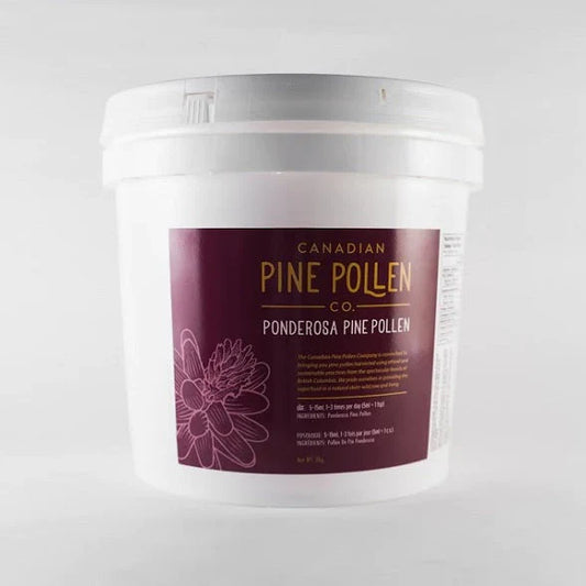 Wild Ponderosa Pine Pollen - Certified Organic Powder - 1kg (2.2lb)
