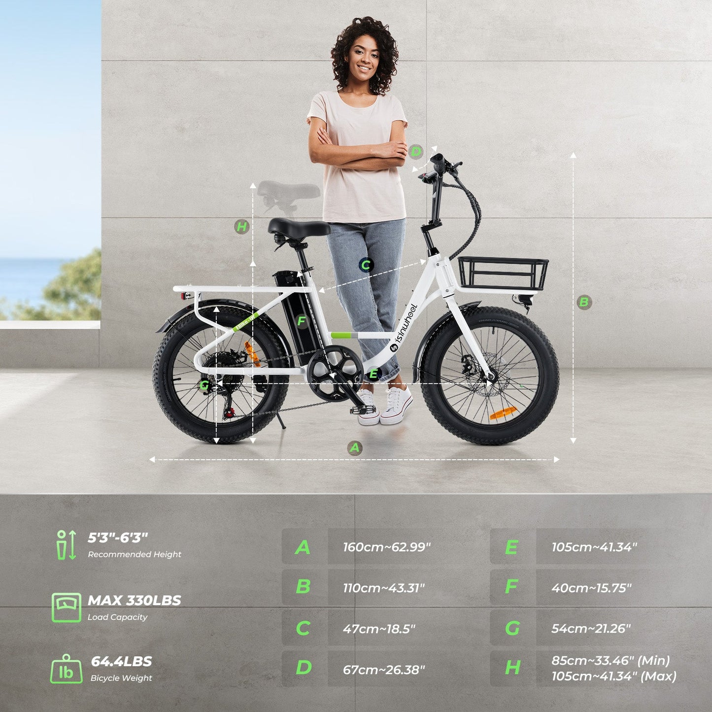 isinwheel U7 500W Cargo Bike