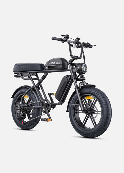 ENGWE M1 65Nm Torque Dual Passenger Motorcycle-styled E-bike