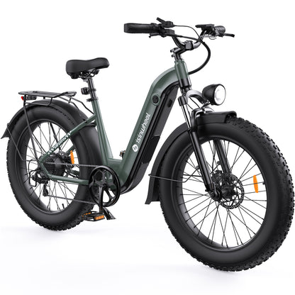 isinwheel U8 Ultra Electric Bike for Adults