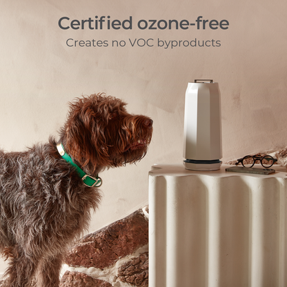Refurbished Photon P3000X Air & Surface Purifier