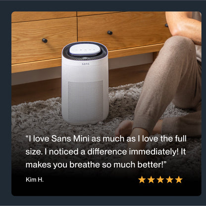 Sans Air Purifier Mini