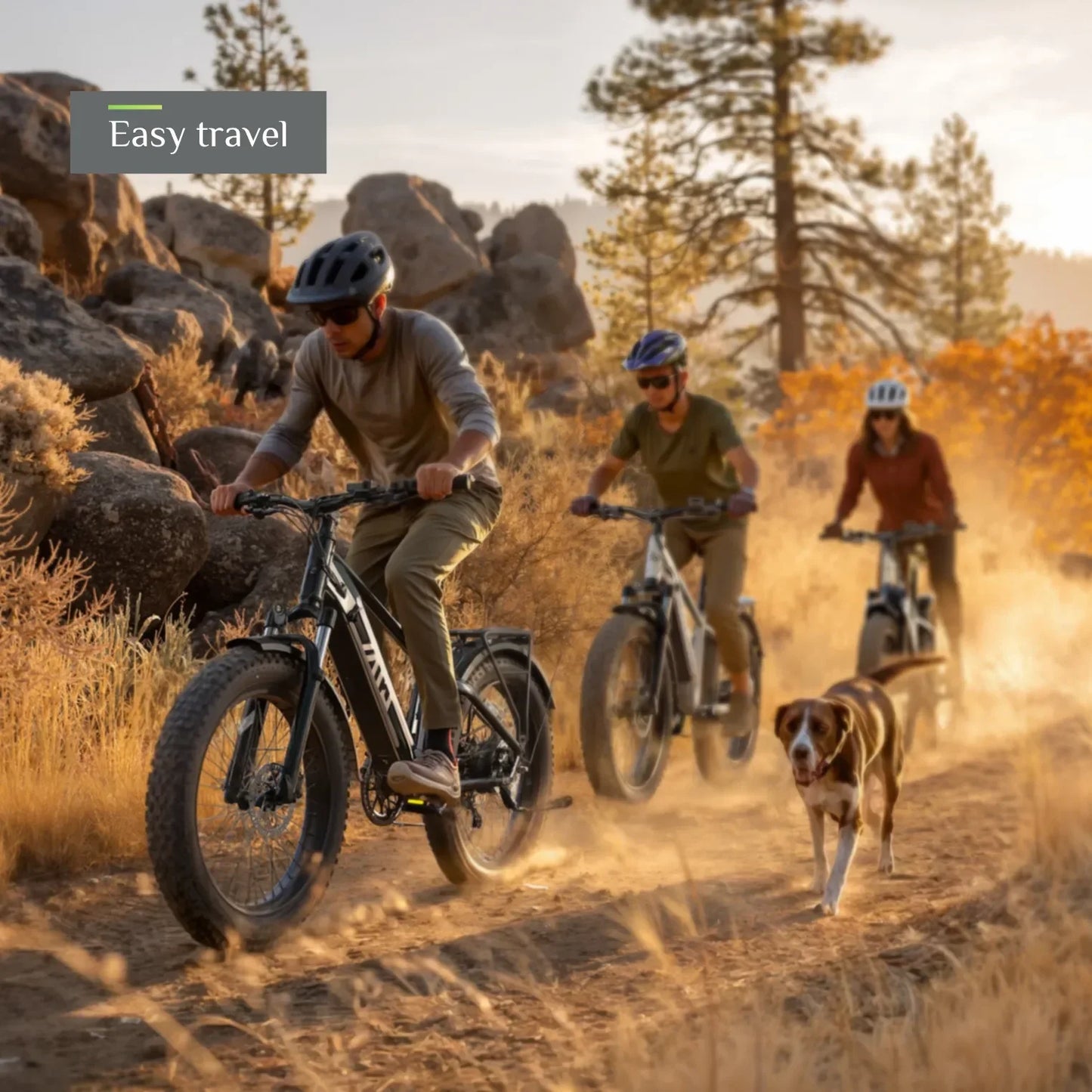 TST® Combo Sale Defender 26" Fat Tire Ebike For Adult