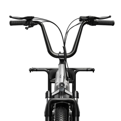 TST® Carrier 20'' Cargo Electric Bike