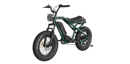 RAEV Bullet SE Electric e-Moto Style eBike-Moto 500 w Electric Pit Bike