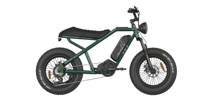 RAEV Bullet V2 Electric e-Moto Style eBike-Moto 500 w Electric Pit Bike