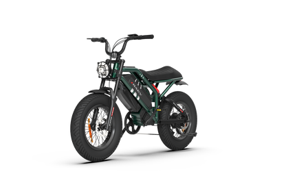 RAEV Bullet GT V2 Electric e-Moto Style eBike-Moto 1000 w Electric Pit Bike