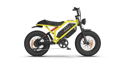 RAEV Bullet GT V2 Electric e-Moto Style eBike-Moto 1000 w Electric Pit Bike
