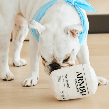 Pup Revival Dog Toy
