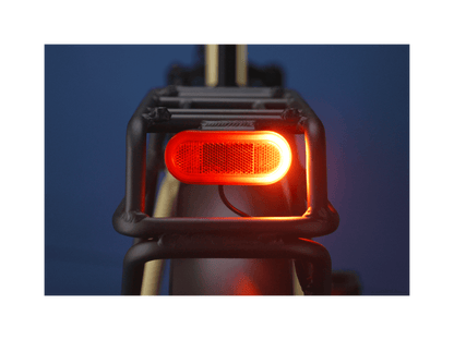 RadExpand™ 5 Plus Electric Folding Bike