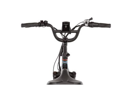 RadExpand™ 5 Plus Electric Folding Bike