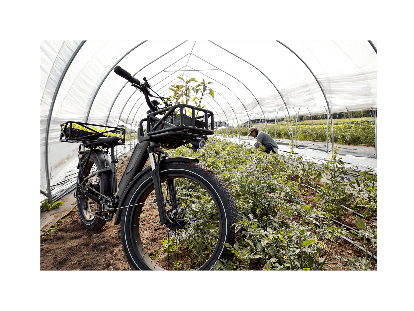 RadRover™ 6 Plus Electric Fat Tire Bike