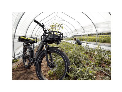 RadRover™ 6 Plus Electric Fat Tire Bike