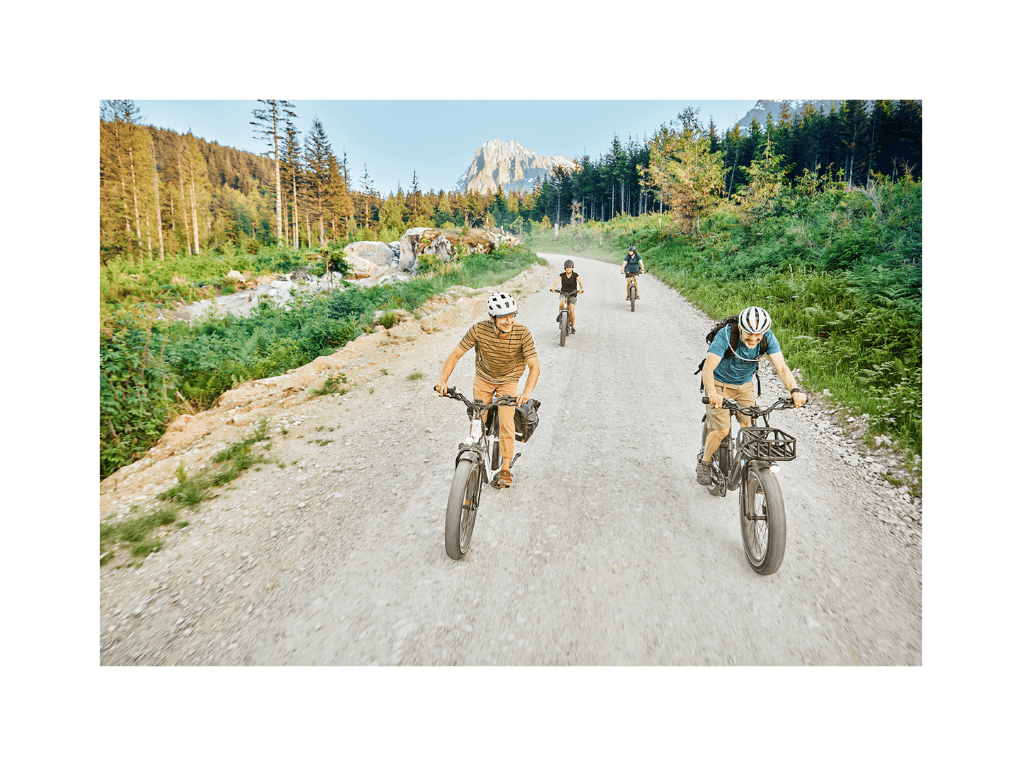 RadRover™ 6 Plus Electric Fat Tire Bike