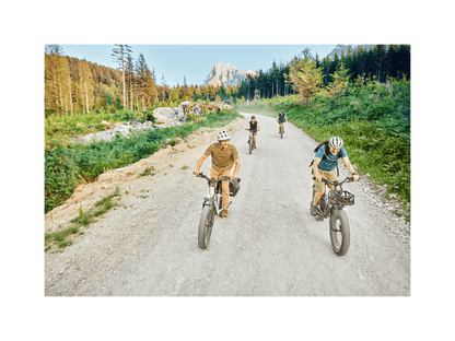 RadRover™ 6 Plus Electric Fat Tire Bike