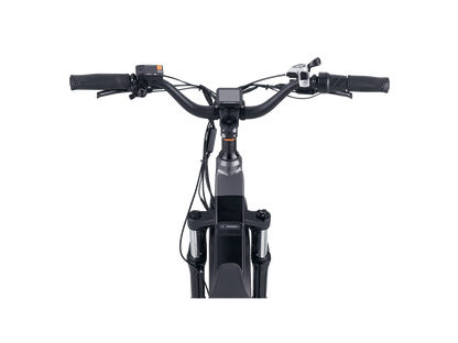 RadRover™ 6 Plus Electric Fat Tire Bike