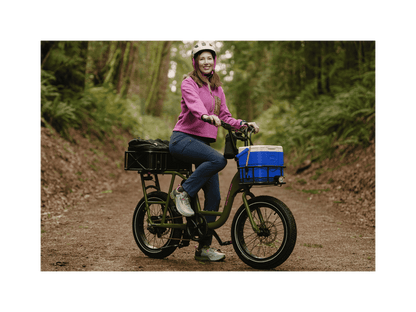 RadRunner™ Electric Cargo Utility Bike