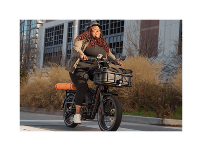 RadRunner™ Max Electric Cargo Utility Bike