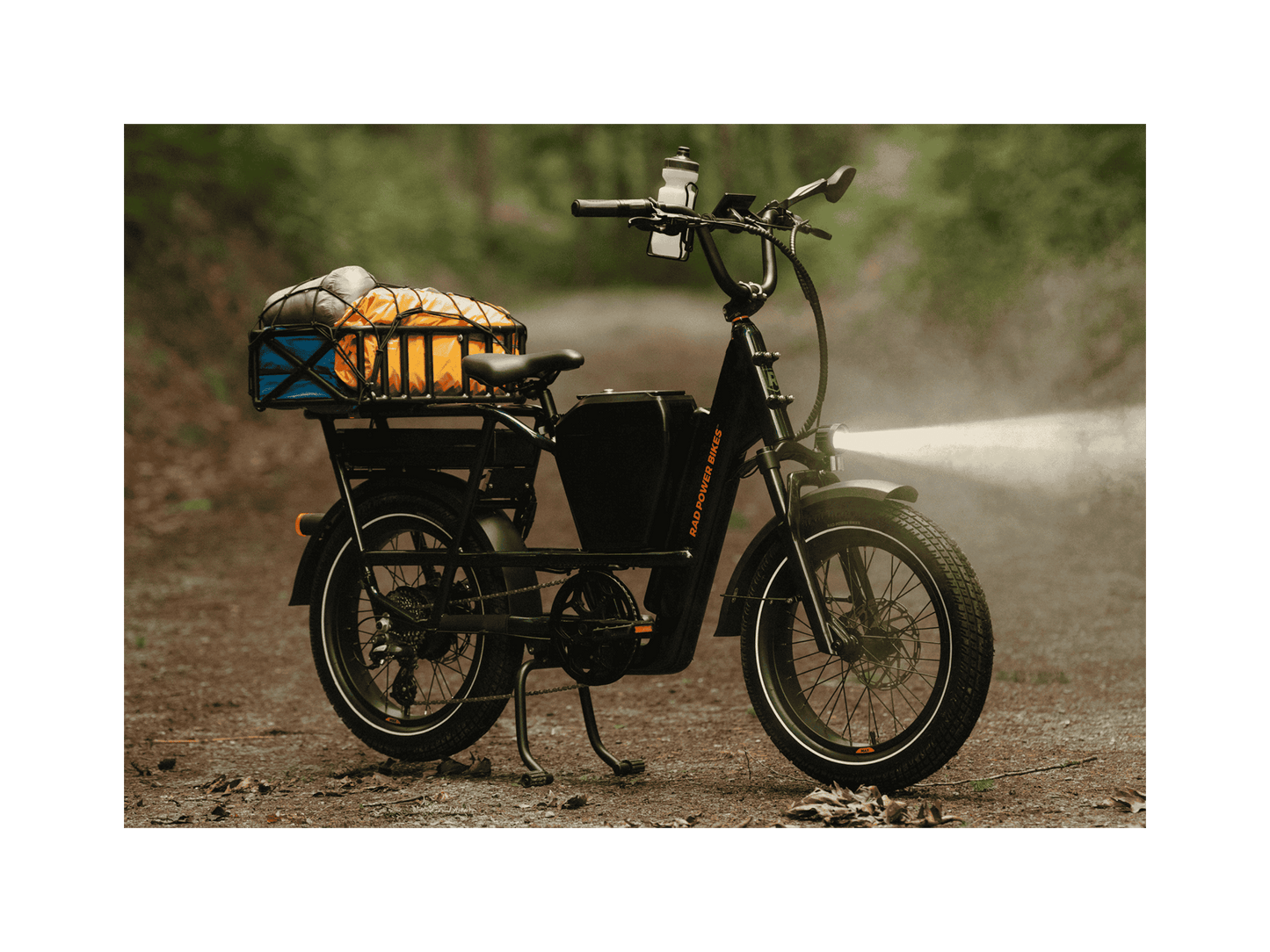 RadRunner™ Max Electric Cargo Utility Bike