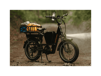 RadRunner™ Max Electric Cargo Utility Bike