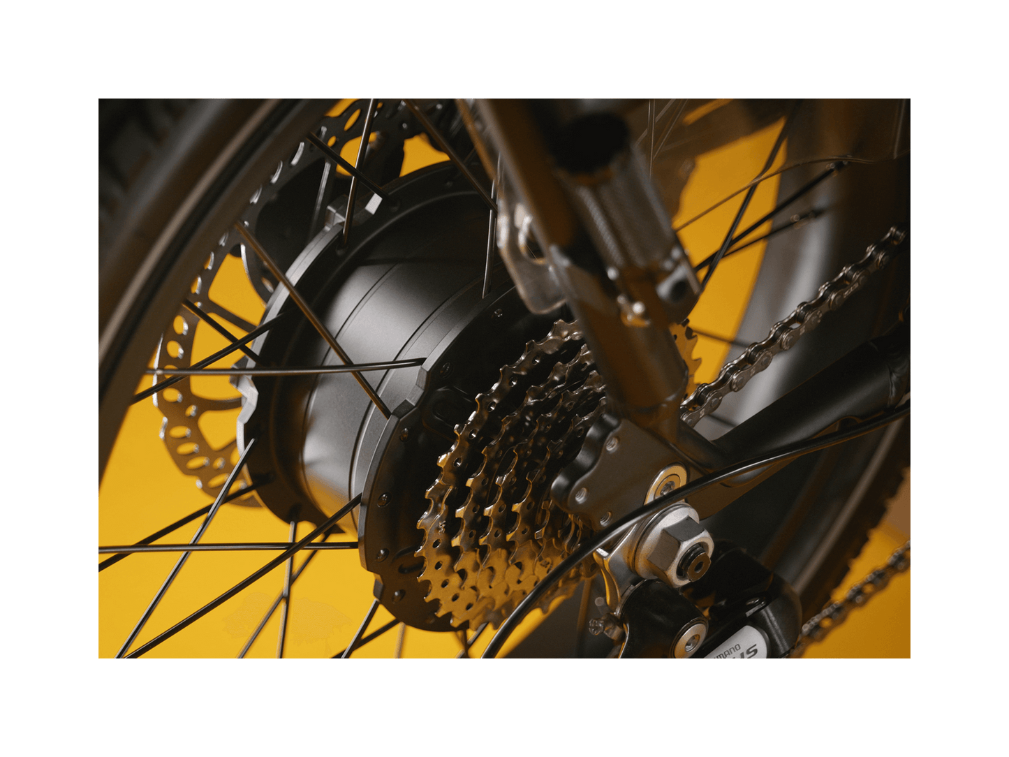 RadRunner™ Max Electric Cargo Utility Bike