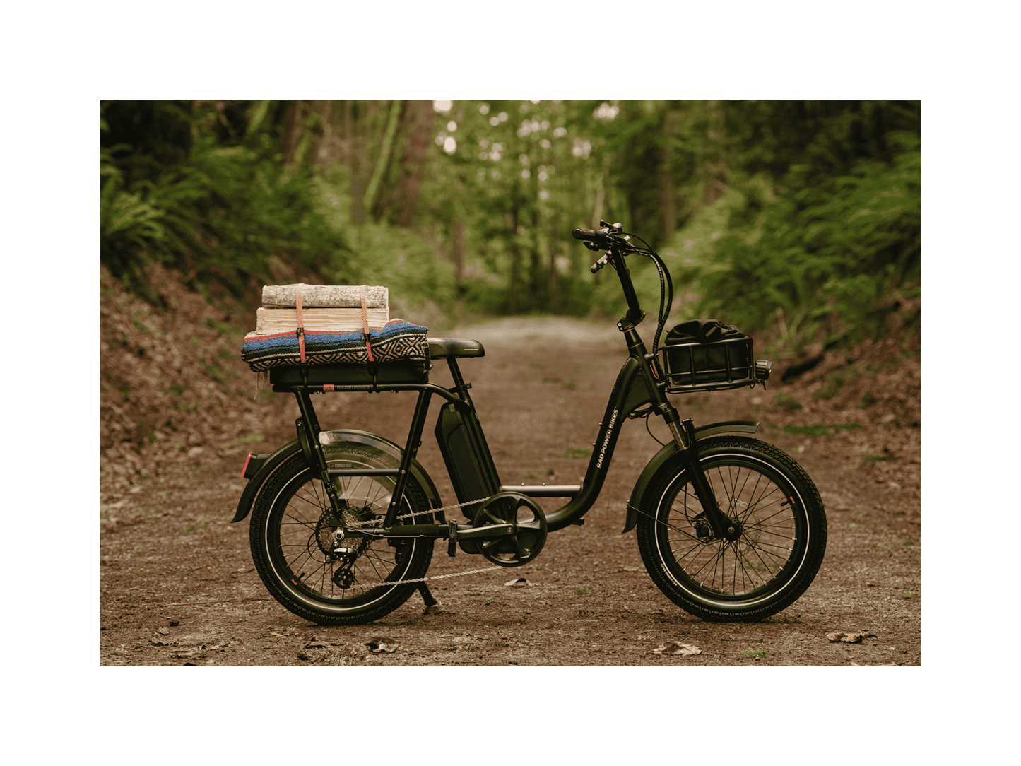 RadRunner™ Plus Electric Cargo Utility Bike