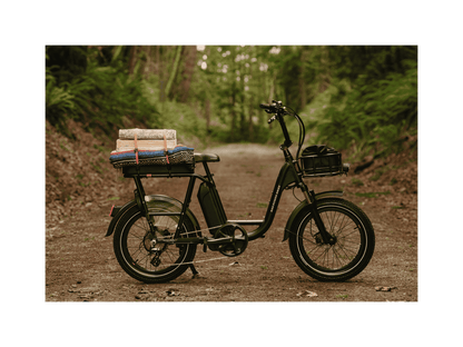 RadRunner™ Plus Electric Cargo Utility Bike