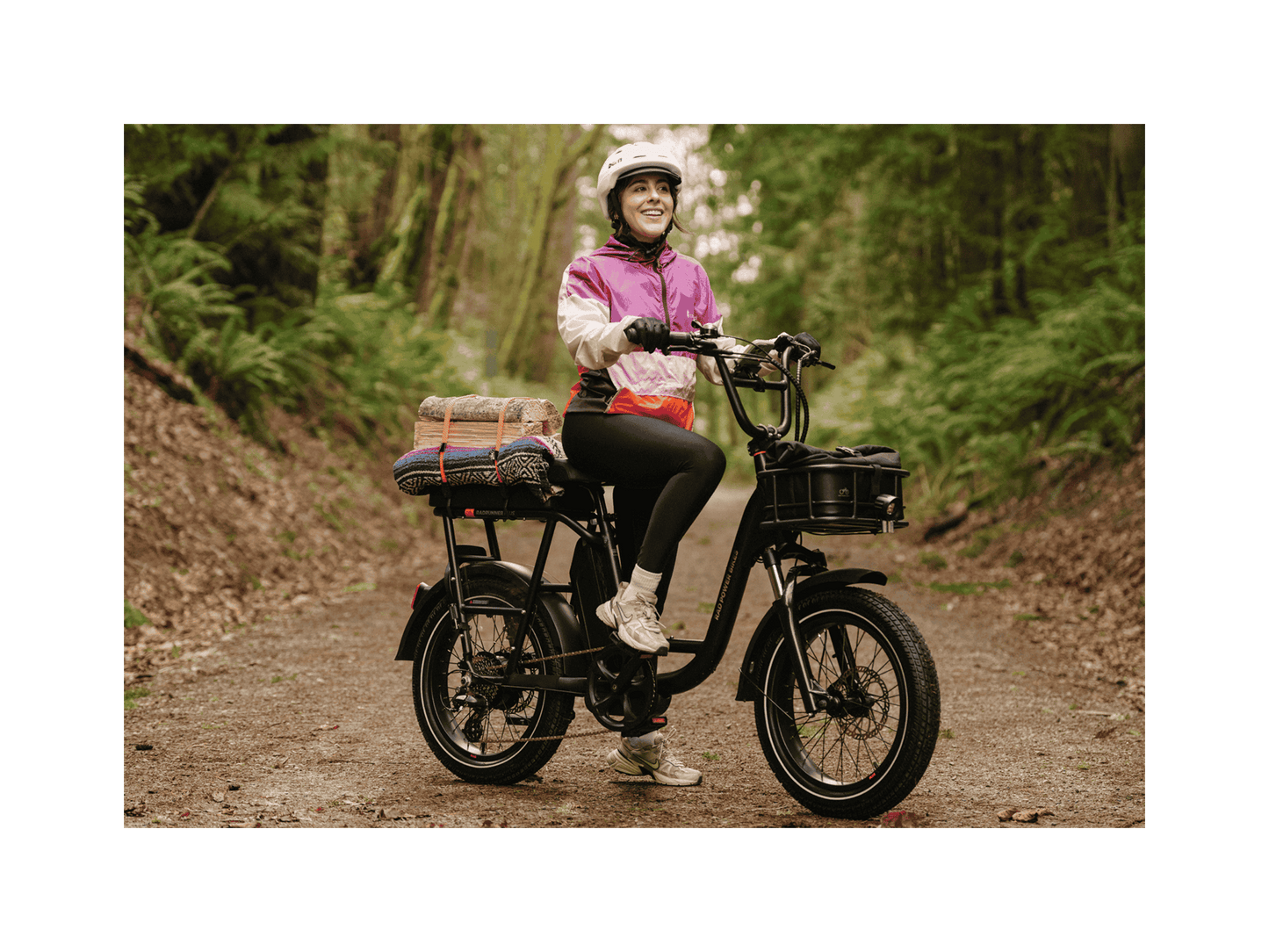 RadRunner™ Plus Electric Cargo Utility Bike