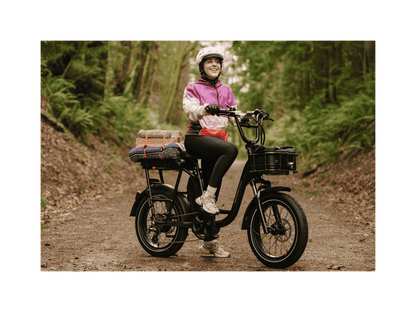 RadRunner™ Plus Electric Cargo Utility Bike