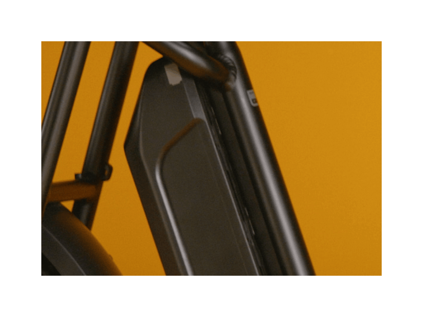 RadRunner™ Plus Electric Cargo Utility Bike