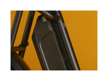 RadRunner™ Plus Electric Cargo Utility Bike